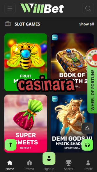 Casinara - Trusted Gambling Platform-casinocasi.ydblkf.net